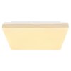 Globo RAINA Plafondpaneel LED Wit, 1-licht