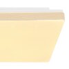 Globo RAINA Plafondpaneel LED Wit, 1-licht