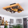 Gressot Plafondlamp Natuurlijke kleuren, Nikkel mat, 4-lichts