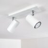 Zuoz Plafondlamp Wit, 2-lichts