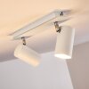 Zuoz Plafondlamp Wit, 2-lichts