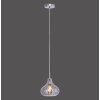 Paul Neuhaus SCARLETT Hanglamp Rookkleurig, 1-licht