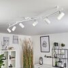 Javel Plafondlamp Chroom, Wit, 6-lichts