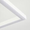 Vaseux Plafondlamp LED Wit, 1-licht