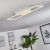 Vaseux Plafondlamp LED Wit, 1-licht