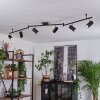 Javel Plafondlamp Chroom, Zwart, 6-lichts