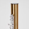 Rodeche Staande lamp LED Goud, 1-licht