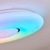 Page Plafondlamp LED Wit, 2-lichts, Afstandsbediening, Kleurwisselaar