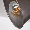 Aduard Plafondlamp Bruin, Zwart, 4-lichts