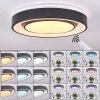 Page Plafondlamp LED Zwart, Wit, 2-lichts, Afstandsbediening, Kleurwisselaar