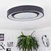 Page Plafondlamp LED Zwart, Wit, 2-lichts, Afstandsbediening, Kleurwisselaar