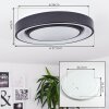 Page Plafondlamp LED Zwart, Wit, 2-lichts, Afstandsbediening, Kleurwisselaar