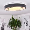 Page Plafondlamp LED Zwart, Wit, 2-lichts, Afstandsbediening, Kleurwisselaar