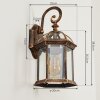 Bourrouc Buiten muurverlichting Goud, Zwart, 1-licht
