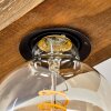 Berat Plafondlamp Bruin, Zwart, 3-lichts