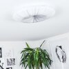 Vogorno Plafondlamp LED Wit, 1-licht