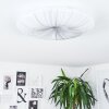 Vogorno Plafondlamp LED Wit, 1-licht