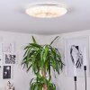 Vogorno Plafondlamp LED Wit, 1-licht