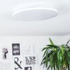 Bergell Plafondpaneel LED Wit, 1-licht
