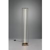 Trio-Leuchten Edge Staande lamp LED Zwart, 1-licht
