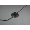 Trio-Leuchten Edge Staande lamp LED Zwart, 1-licht