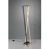 Trio-Leuchten Edge Staande lamp LED Zwart, 1-licht