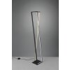 Trio-Leuchten Edge Staande lamp LED Zwart, 1-licht