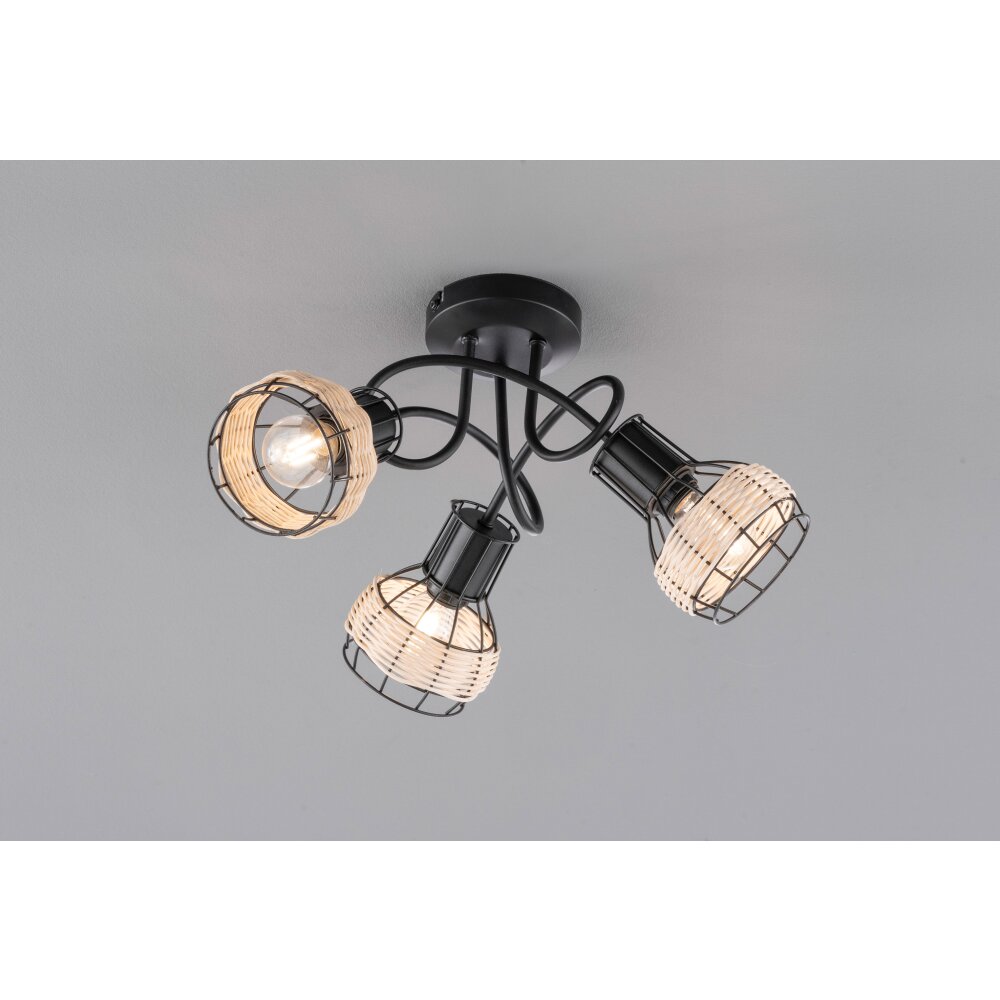 Fischer-Honsel Straw Plafondlamp Zwart, 3-lichts main product photo