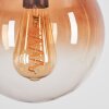 Degevos Hanger Bruin, 1-licht
