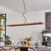 Versoix Hanglamp LED Chroom, Zwart, 1-licht