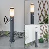 Sessa Padverlichting Antraciet, 1-licht, Bewegingsmelder