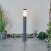 Sessa Padverlichting Antraciet, 1-licht, Bewegingsmelder