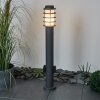 Tunes Padverlichting Antraciet, 1-licht