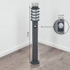 Tunes Padverlichting Antraciet, 1-licht, Bewegingsmelder