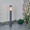 Tunes Padverlichting Antraciet, 1-licht, Bewegingsmelder