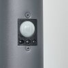 Tunes Padverlichting Antraciet, 1-licht, Bewegingsmelder