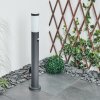 Sessa Padverlichting Antraciet, 1-licht, Bewegingsmelder