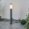 Sessa Padverlichting Antraciet, 1-licht, Bewegingsmelder