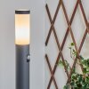 Sessa Padverlichting Antraciet, 1-licht, Bewegingsmelder