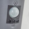 Tunes Buiten muurverlichting Antraciet, 1-licht, Bewegingsmelder