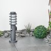 Tunes Padverlichting Antraciet, 1-licht, Bewegingsmelder