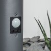 Tunes Padverlichting Antraciet, 1-licht, Bewegingsmelder