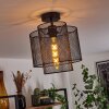 Amsoldingen Plafondlamp Zwart, 1-licht