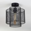 Amsoldingen Plafondlamp Zwart, 1-licht
