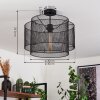 Amsoldingen Plafondlamp Zwart, 1-licht