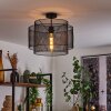Amsoldingen Plafondlamp Zwart, 1-licht