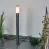 Sessa Padverlichting Antraciet, 1-licht, Bewegingsmelder