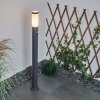 Sessa Padverlichting Antraciet, 1-licht, Bewegingsmelder