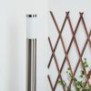 Sessa Padverlichting Nikkel mat, 1-licht
