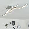 Bernese Plafondlamp LED Nikkel mat, 3-lichts